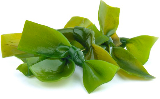 estetica-beauty_care-losone-anghie-kel